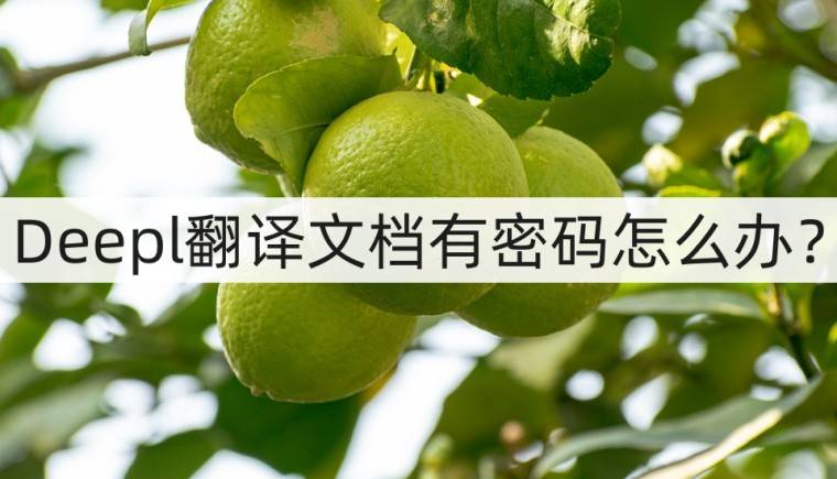deepL下载打开之后一直加载中 是怎么了 知乎