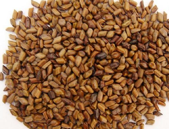 民间俗称"假绿豆",营养却不输于绿豆,果子叶子都是宝!_食用_种子_食物