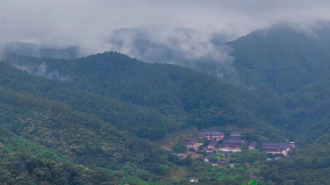 赏·黄江|雨后芙蓉寺,仿如人间仙境_宝山_烟雨_森林