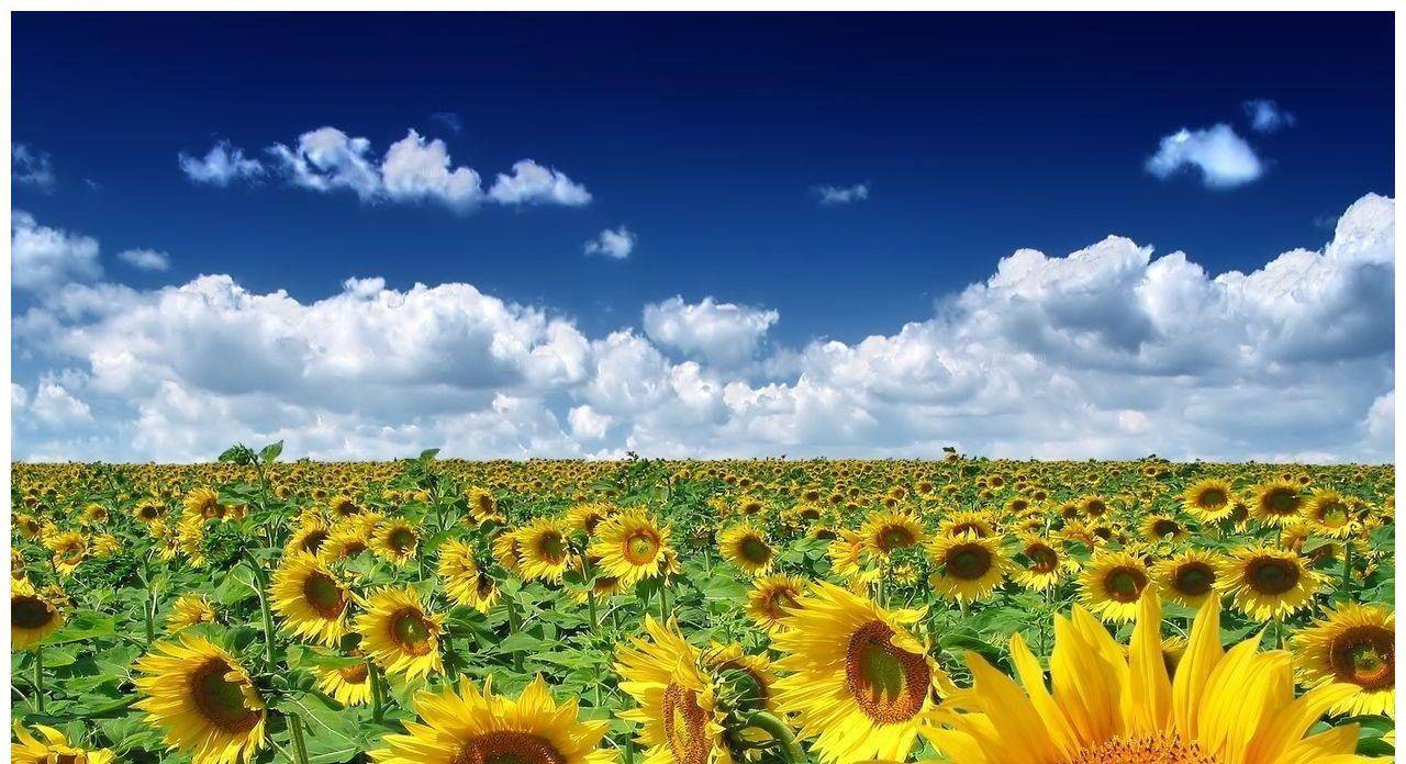 9月开始,财旺福气旺,金银四方来,存款暴涨3大生肖_生活_财运_人生