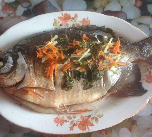 清蒸红鲳鱼,营养丰富,味道鲜美_香菜_胡萝卜_姜丝