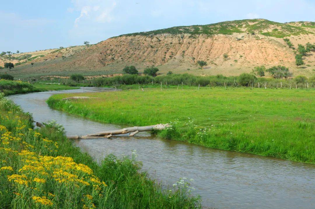 辽阔草原锡林郭勒十大网红打卡地 ——浑善达克沙地_沙漠_内蒙古_榆树