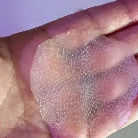 一片龙鳞就铺满整个易拉罐,那么这龙鱼该有多大?_鱼房_玩家_鳞片