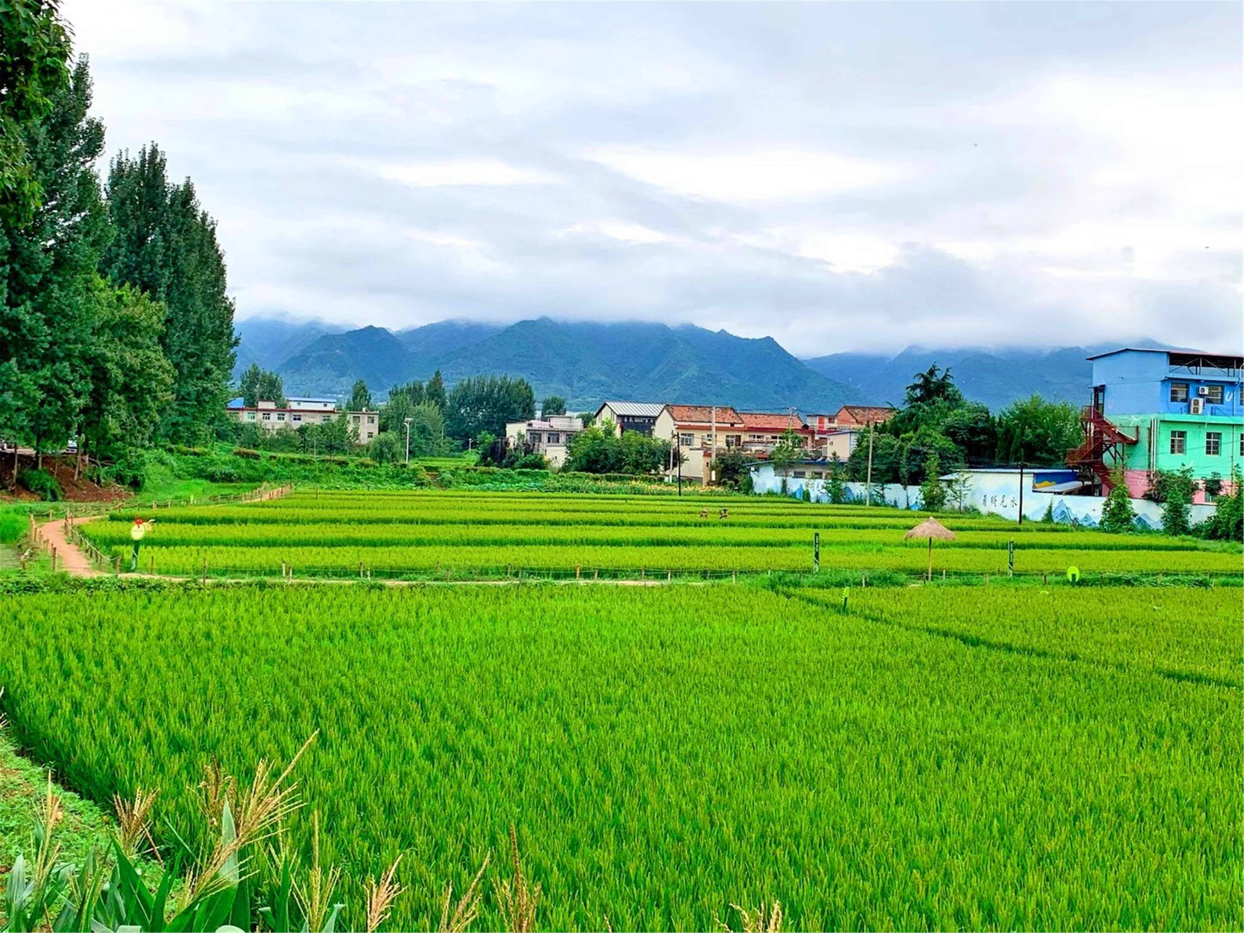 西安最美乡村图片