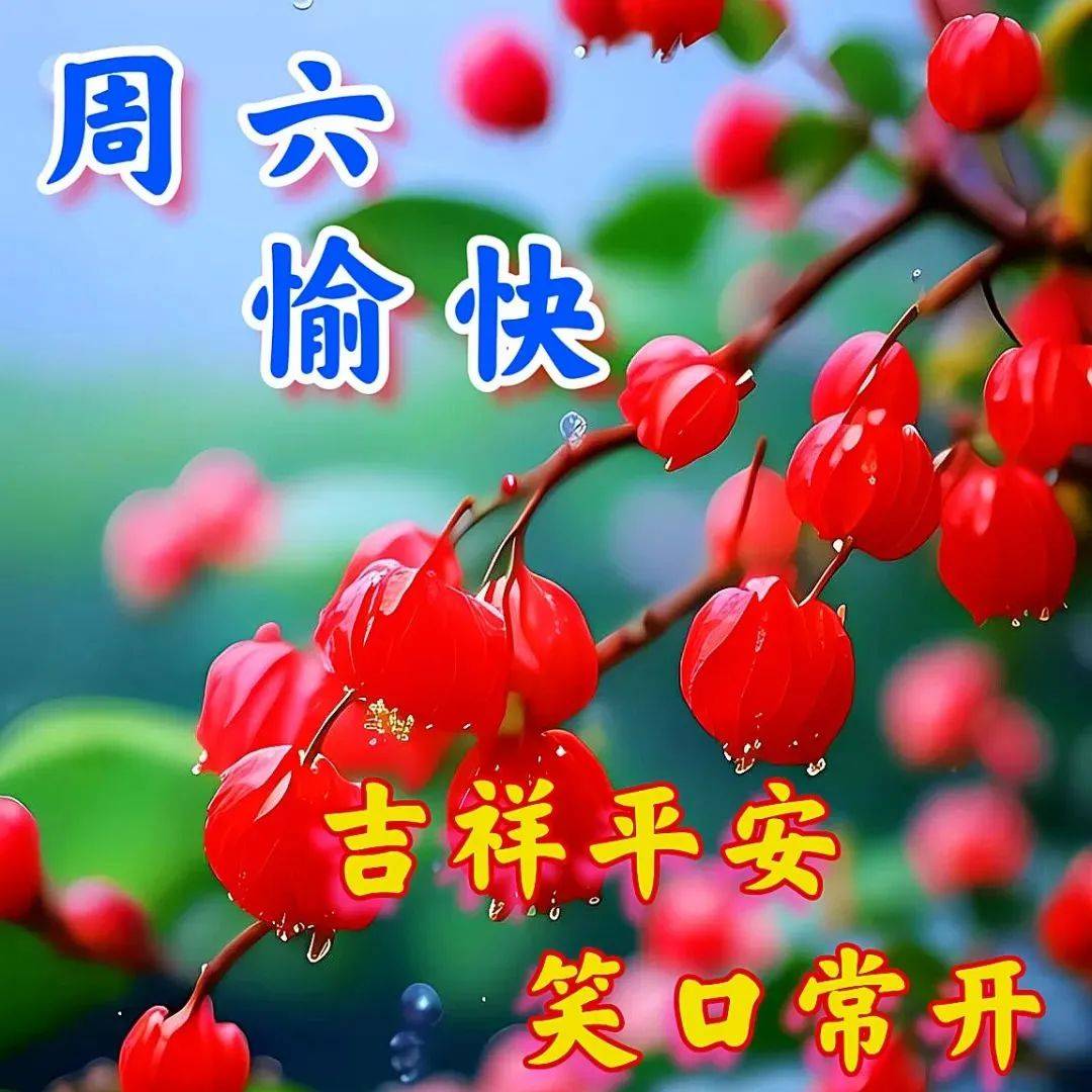 星期六祝福图片带字图片