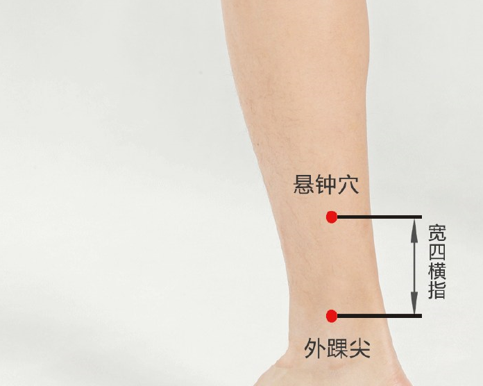 绝骨的位置和方法图片