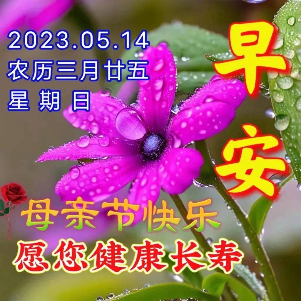 5月14日周日母亲节快乐，精选母亲节祝福图片带字带问候语录！-母亲节快乐祝福短句