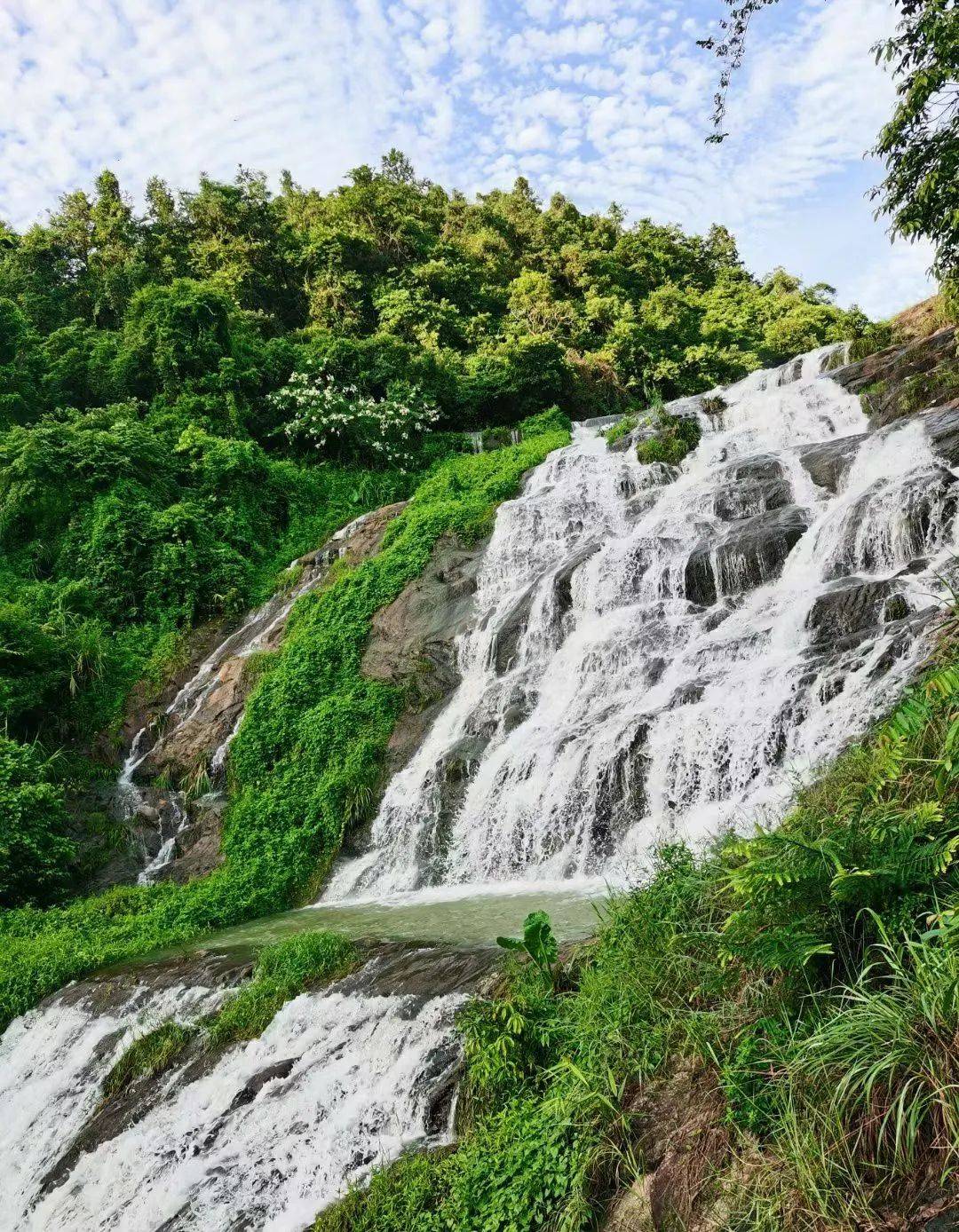 蛋糕_馬卡_山林