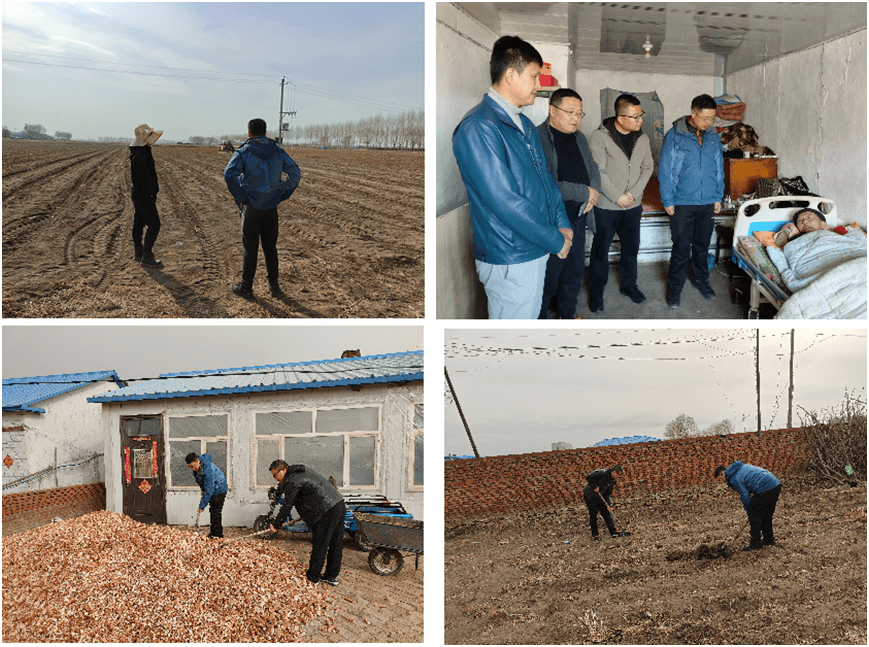 一枝一叶总关情——记黑龙江省委党校驻龙江县景星镇街基村工作队