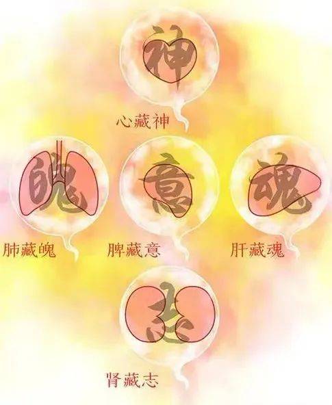 《素问·灵兰秘典论》说:"心者,君主之官也,神明出焉.