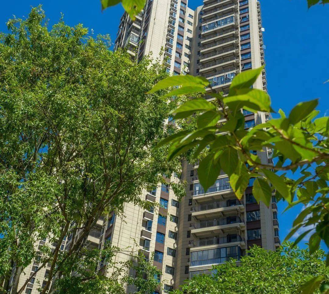 上品澜庭,上品璟苑,盛世华庭,五岭庆园五大楼盘,屡创郴州楼市热