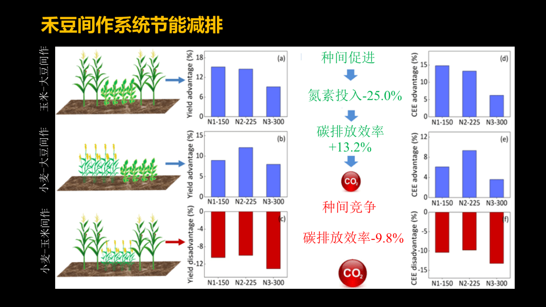 种间竞争关系图片