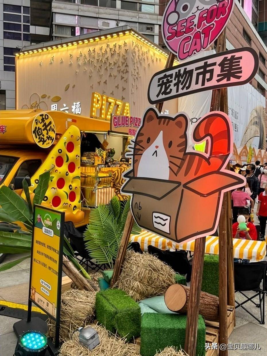 宠物_活动_毛孩子