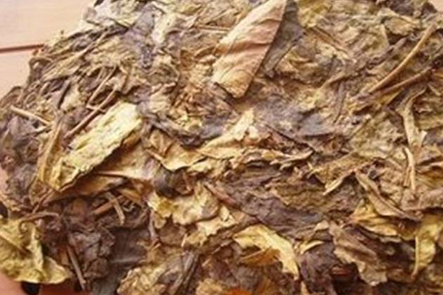 原创            喝普洱茶生不喝黄片，熟不熟喝茶头？（喝普洱生茶有什么坏处）
