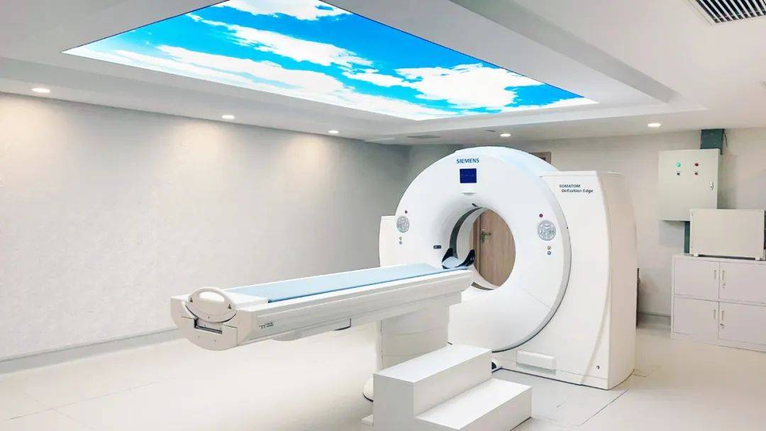 plaque_carotid_显示