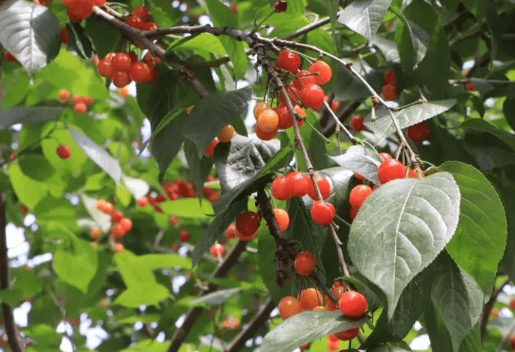 郑州这些景区大多免费,半价,适合周末带娃去玩!_生命_黄河_门票