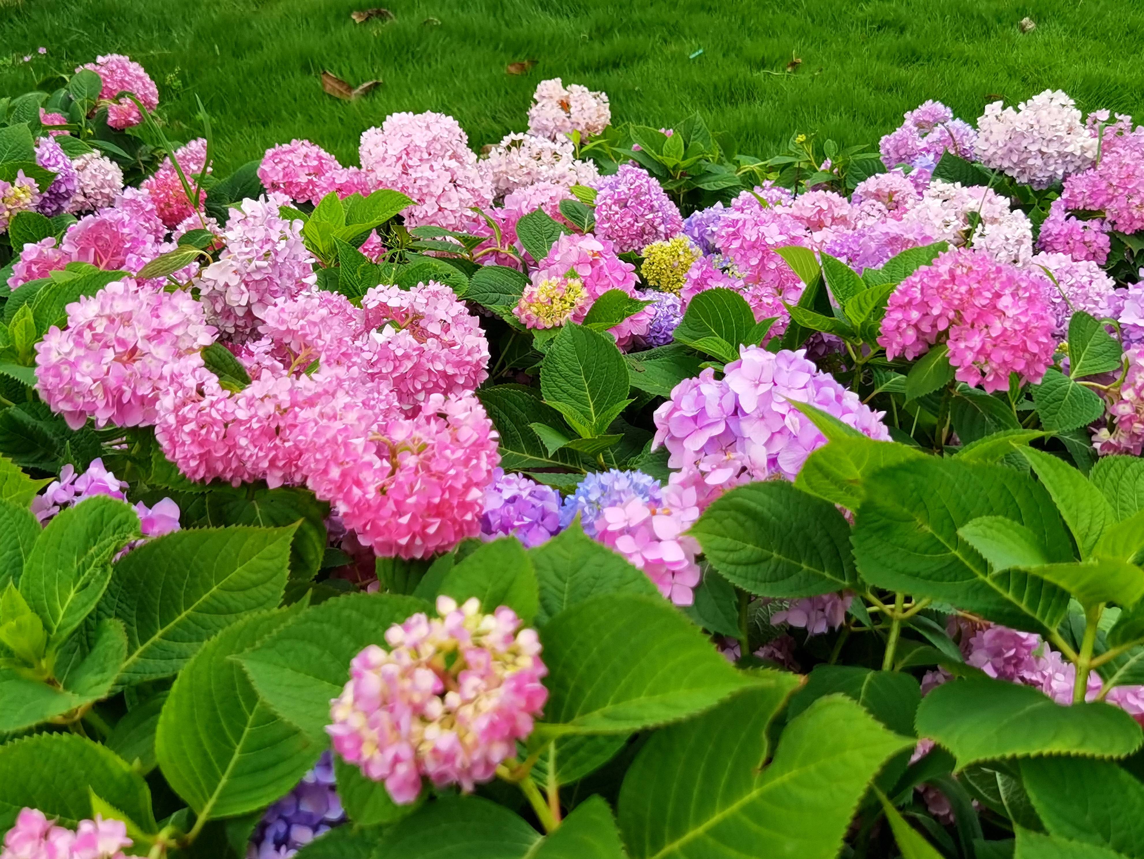 花界周公子图片