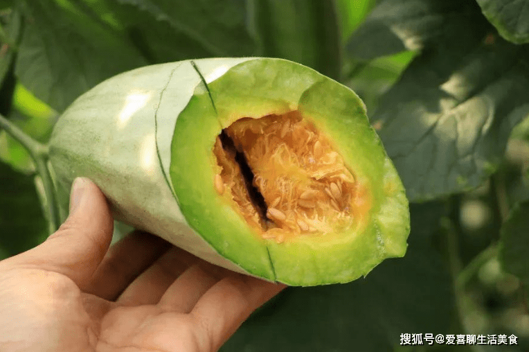 甜瓜大量上市,但为何吃过的人都说喉咙痛,是瓜太甜还是另有猫腻_羊角