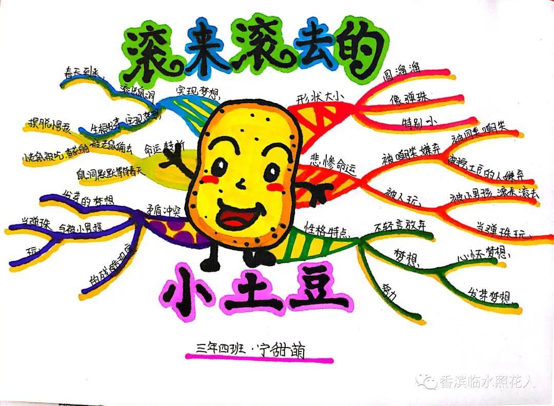 着走着,走到了水果店,那里有很多跟它同类的蔬菜比如西红柿,黄瓜,茄子