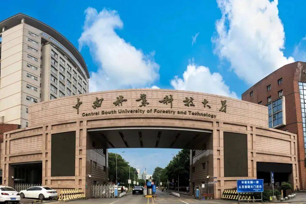 中南林业科技大学2022年湖南省录取分数线（中南林业科技大学湖南录取位次2015）