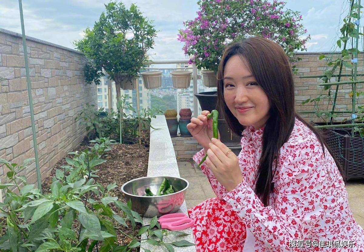 52岁杨钰莹现状曝光:前男友入狱,在深圳豪宅种辣椒,独居不寂寞_赖文峰