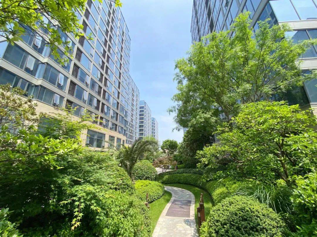 杭州滨江同协金座售楼部电话|价格详情|实时更新|售楼处地址|在售户型