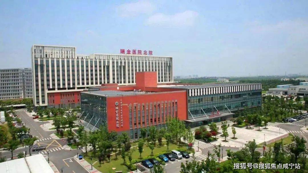 南翔象屿同进虹桥嘉悦府附近学校