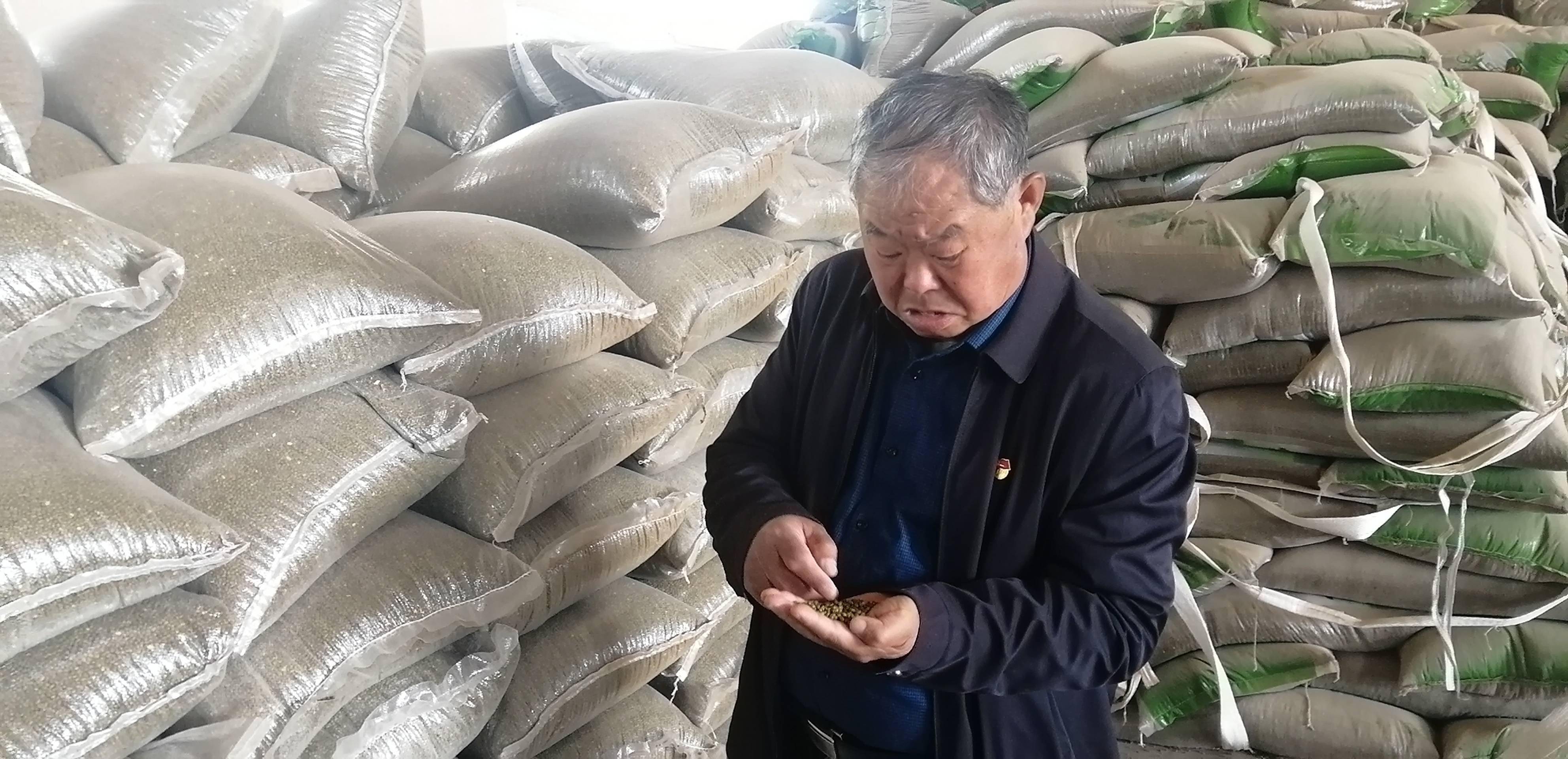 乡村振兴看齐鲁——走进龙口市石良镇尹村_村民_的发展_烟台市
