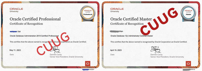 数据库认证的天花板 - oracle 19c ocm开课啦_考试_版本_技术