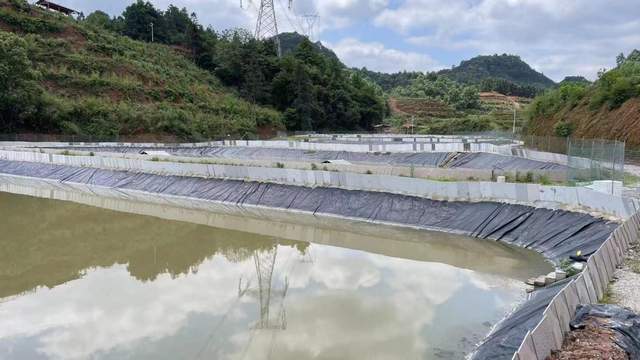 羊,香豬等家禽養殖;佔地面積1000餘畝,由柏蒼村