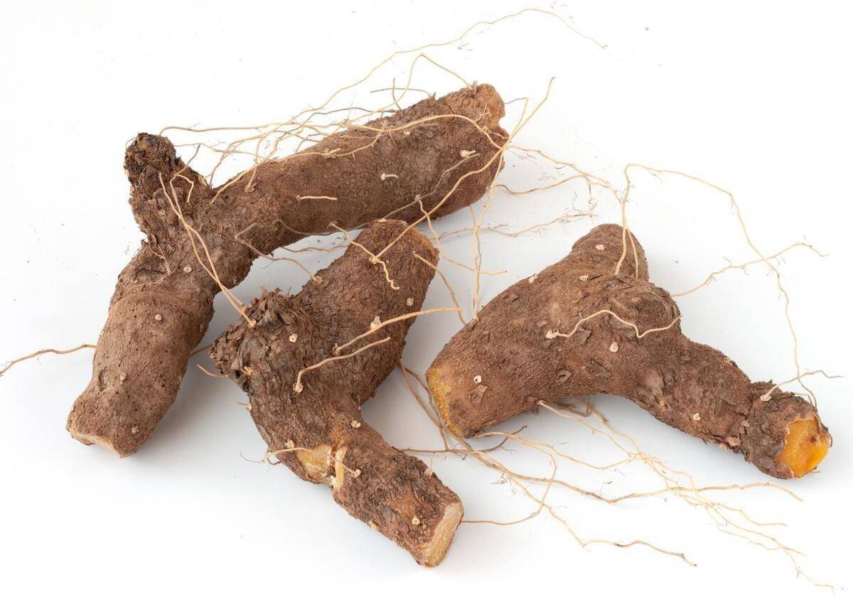 这些成分为地黄赋予了药用价值,并被用于制备中药饮片,草药汤剂和草药