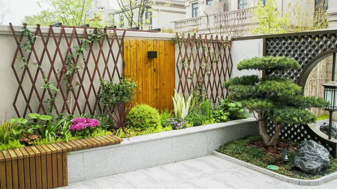 盘点那些不常见的庭院花墙植物,这7种一大半你没听过