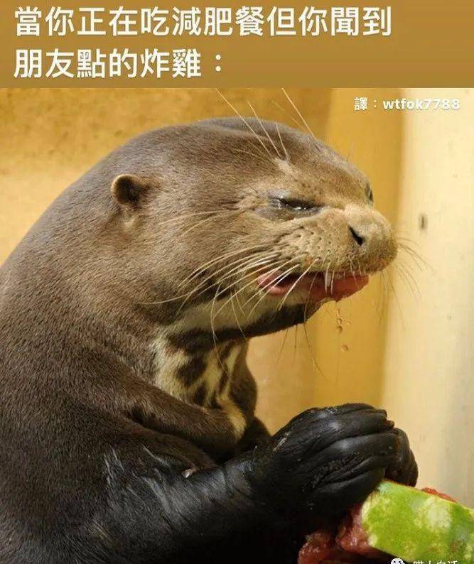 吴京疯了《同类比较好蒙混过关》快乐快速地韩元已收到读玩向下过去的