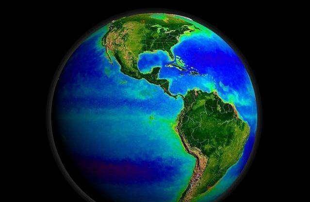 澳洲200米浅海发现深海生物,科学家感到费解,幕后凶手是谁?