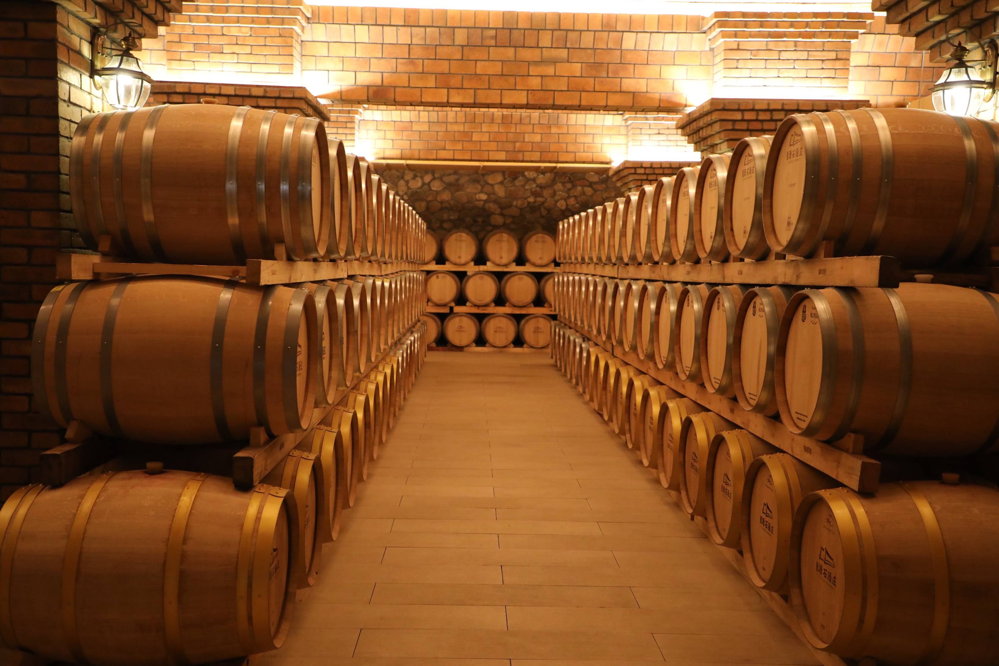 打卡美丽新宁夏,走进贺兰山东麓,体验银川葡萄酒产业