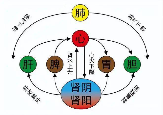 气不足如何补气?一文带你读懂