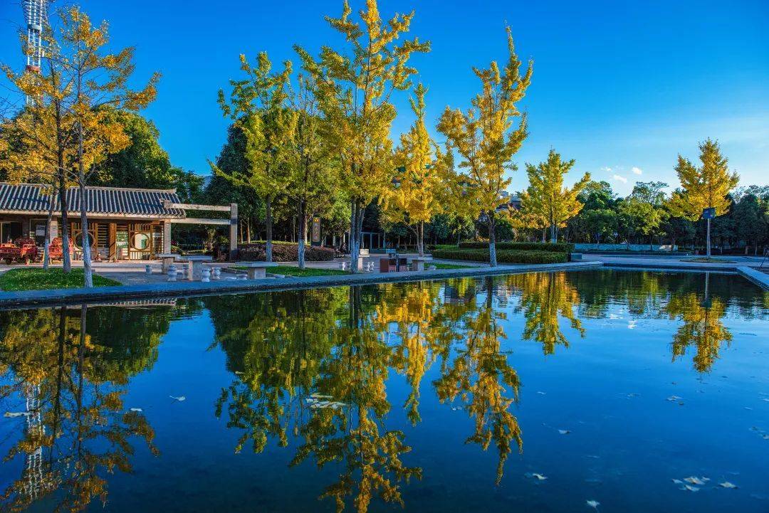 宜居 绿色 诗意,享嵩明_建设_公园_县城