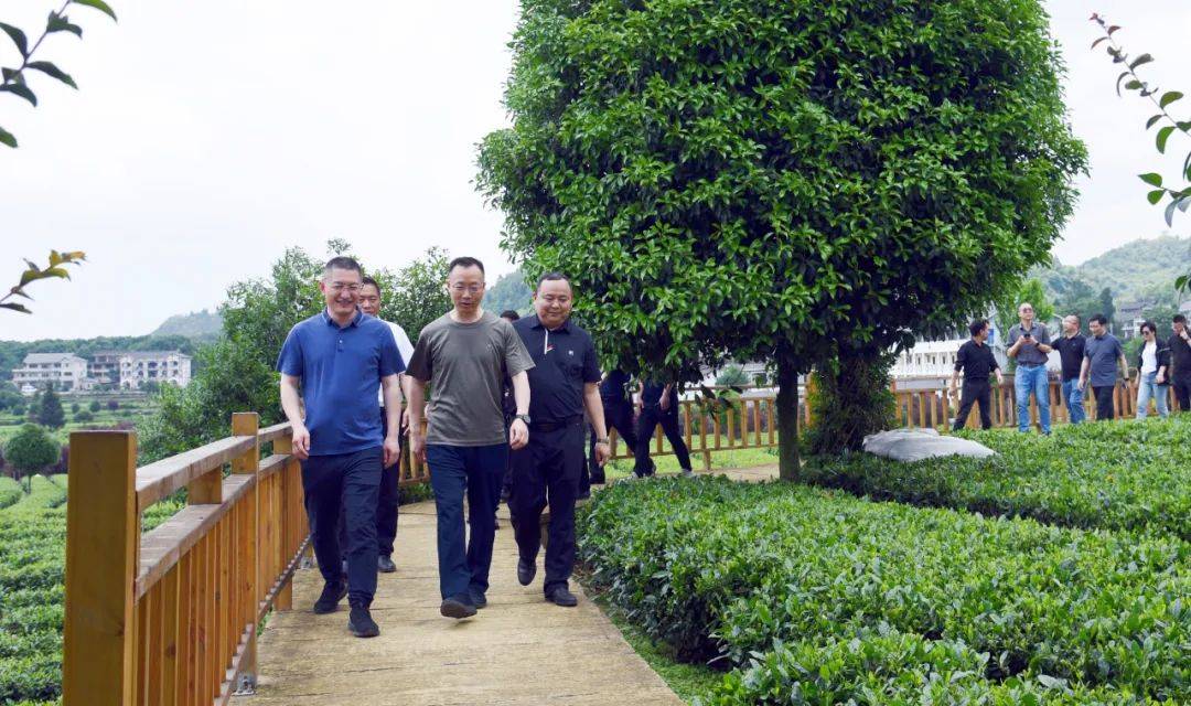 市投资促进局局长肖兴国,县委书记马华,县委常委,县委办主任任胜陪同