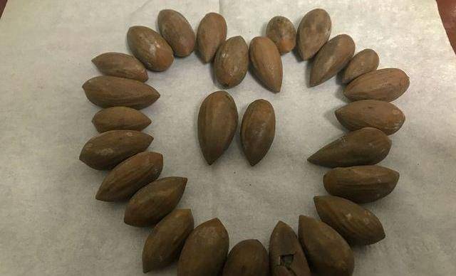 香榧子好吃,但是果仁外的"黑衣",其实吃了有好处,你知道么?