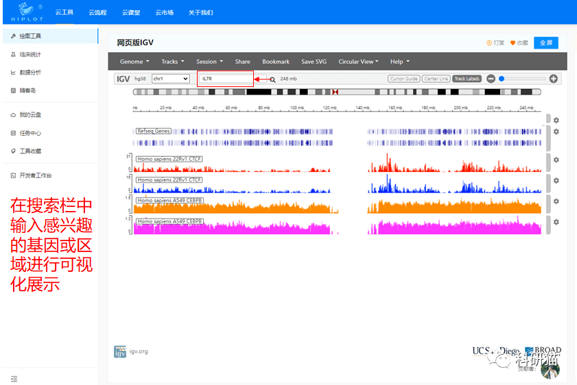 【上新啦】Hiplot上架基因组可视化IGV网页版工具，省去安装，使用更便捷！_信息_数据_科研