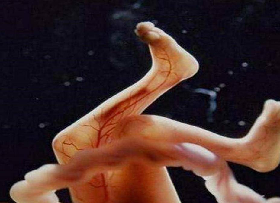 怎么替打掉的胚胎超度的简单介绍