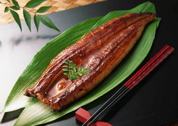 【鳗鱼】别名:白鳝,白鳗,鳗鲡,日本鳗.