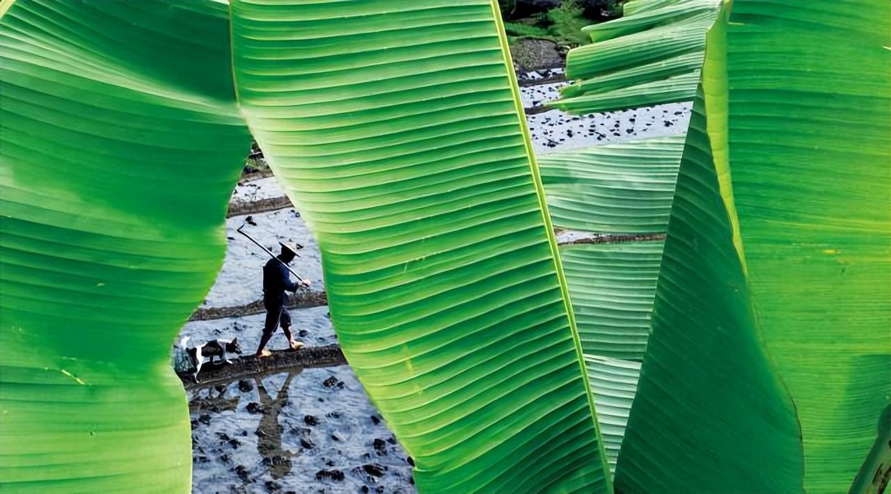 墨言教育摄影技能分享||前景构图法!让你的出片率高10倍!