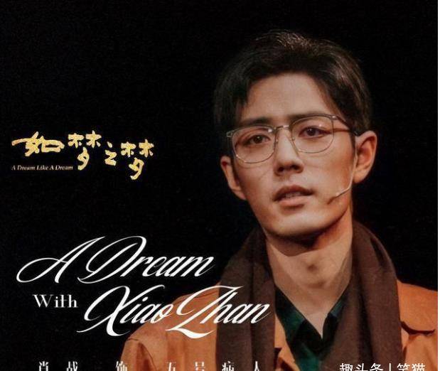 《如梦之梦》肖战被认可,贾行家万字观后感出:观众是幸运的_表演_演出