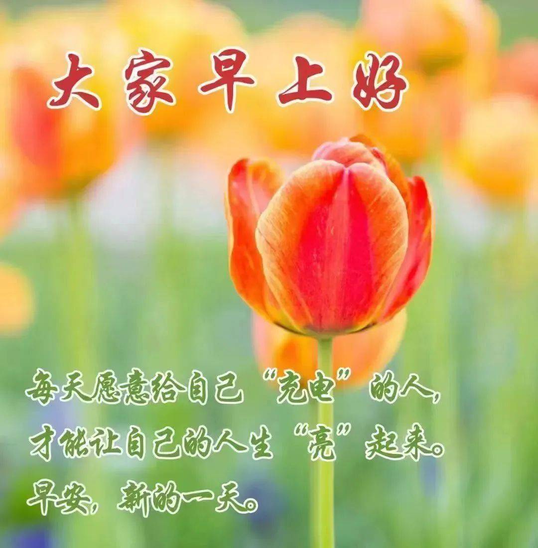 9张最新创意好看的早上好祝福图片带字温馨 2023唯美夏天早安问候祝福