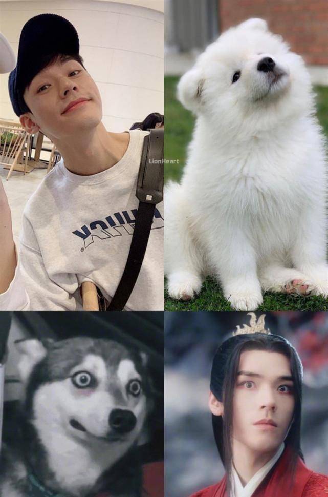 龚俊素颜录节目,高清镜头下颜值真实,身上的睡衣图案太可爱了_狗狗