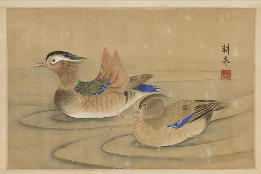 愿作鸳鸯不羡仙|附23张鸳鸯图高清_张大千_木芙蓉_爱情