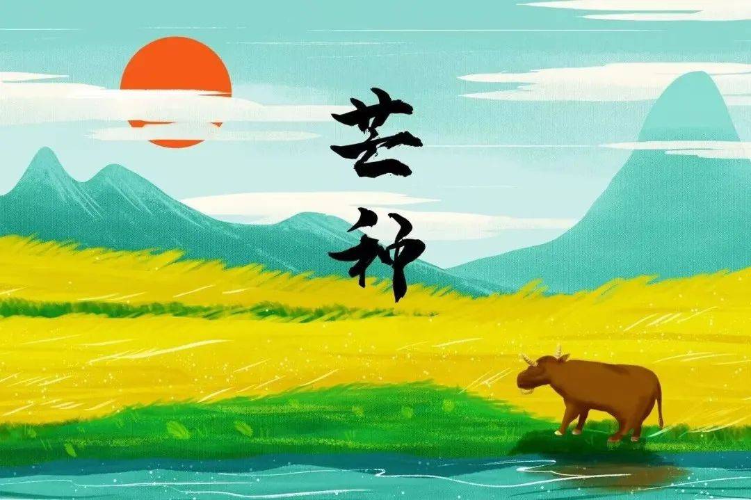 【节气活动】"仲夏至,芒种忙"_人们_饮食_时节