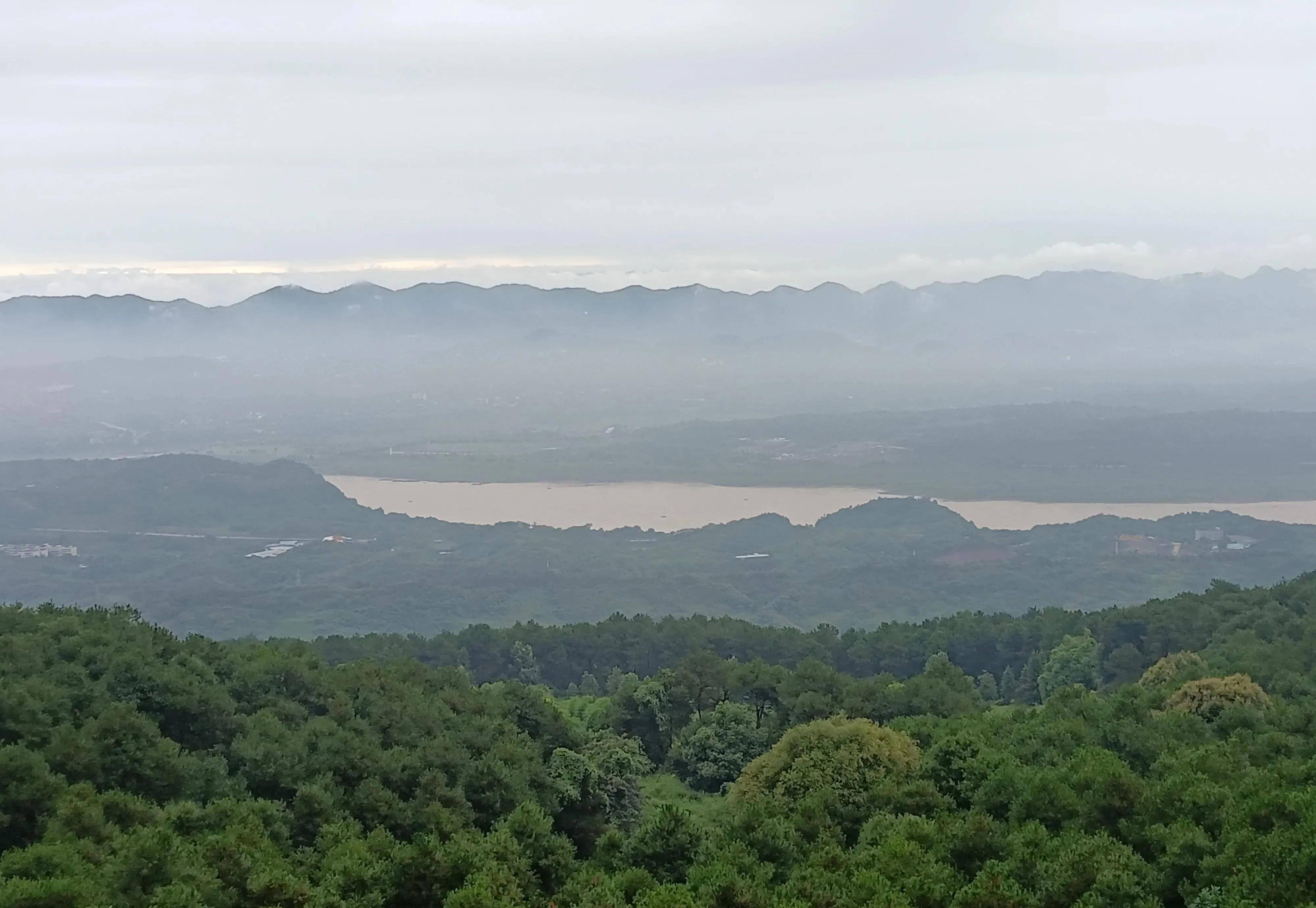 重庆铁山坪森林公园:探寻城市绿色宝石的魅力之旅