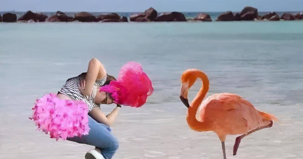 "一起来体验这些疯狂的p图创作吧!"会笑的鹅会哭._成龙_竞技场_奥运